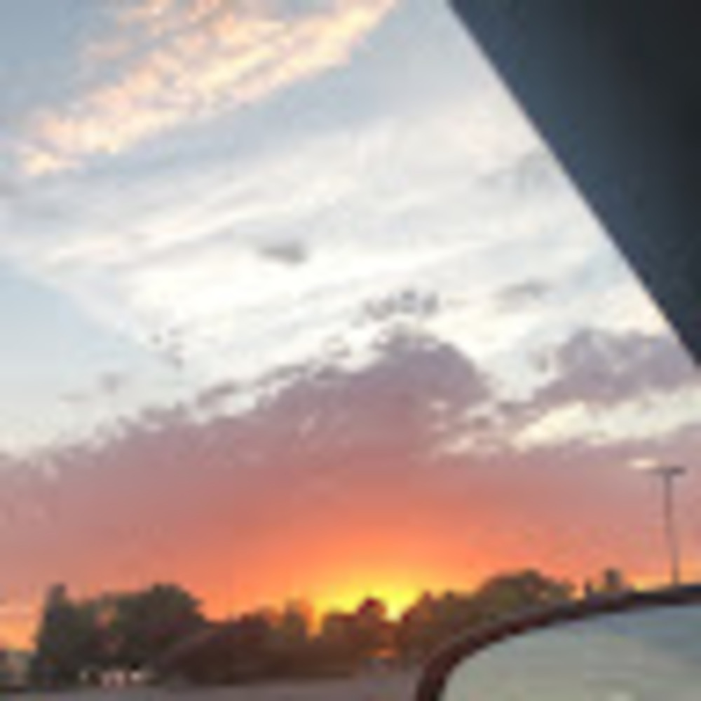 Meet your Posher, Sophia